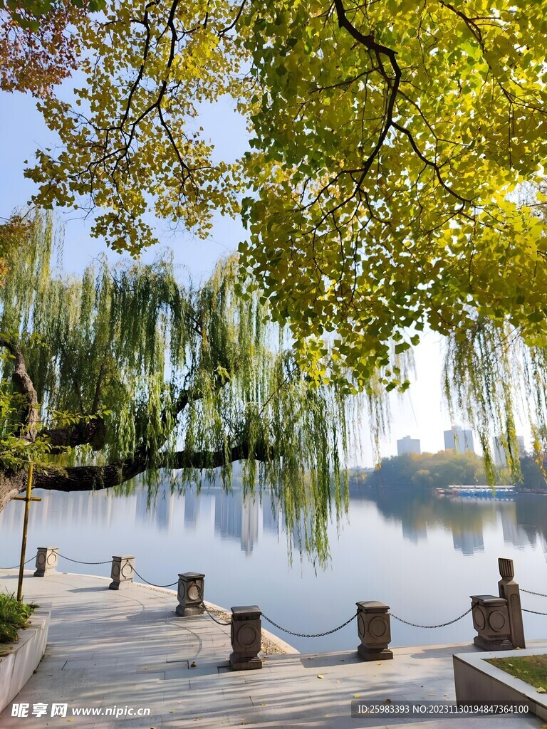 湖畔公园