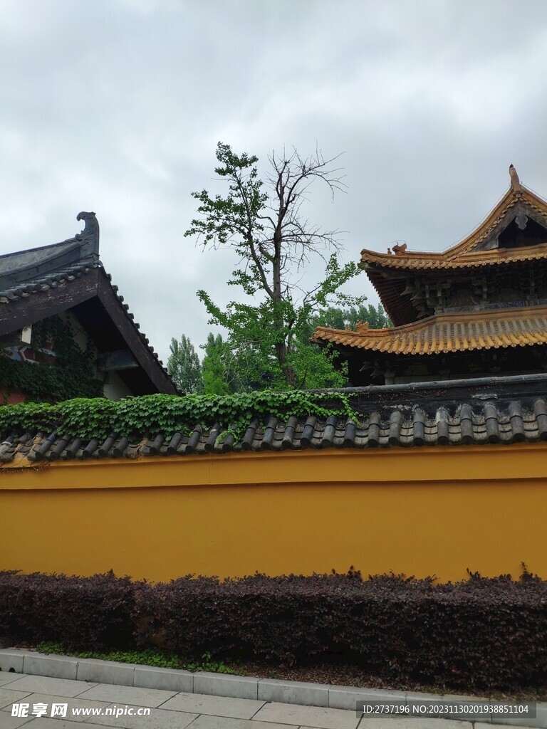 围墙