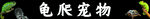 宠物