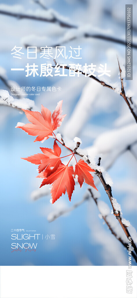 大雪海报