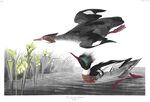 油画