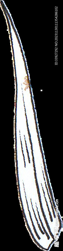 手绘画