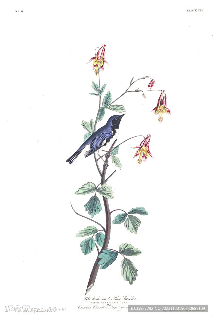 油画