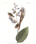 油画