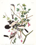 油画
