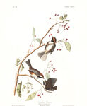 油画