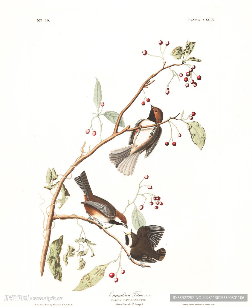 油画