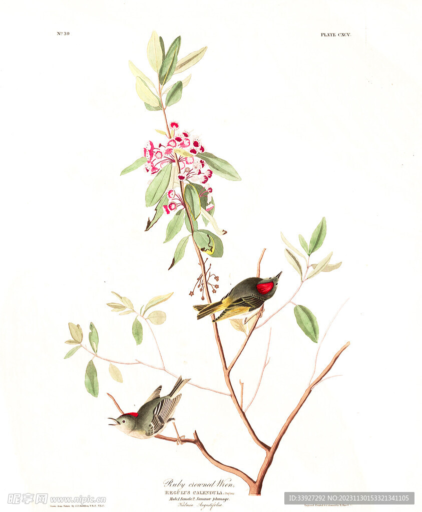 油画