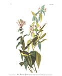 油画
