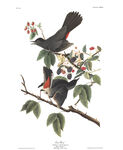 油画