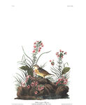 油画