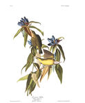 油画