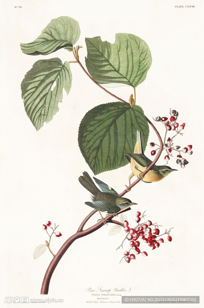 油画