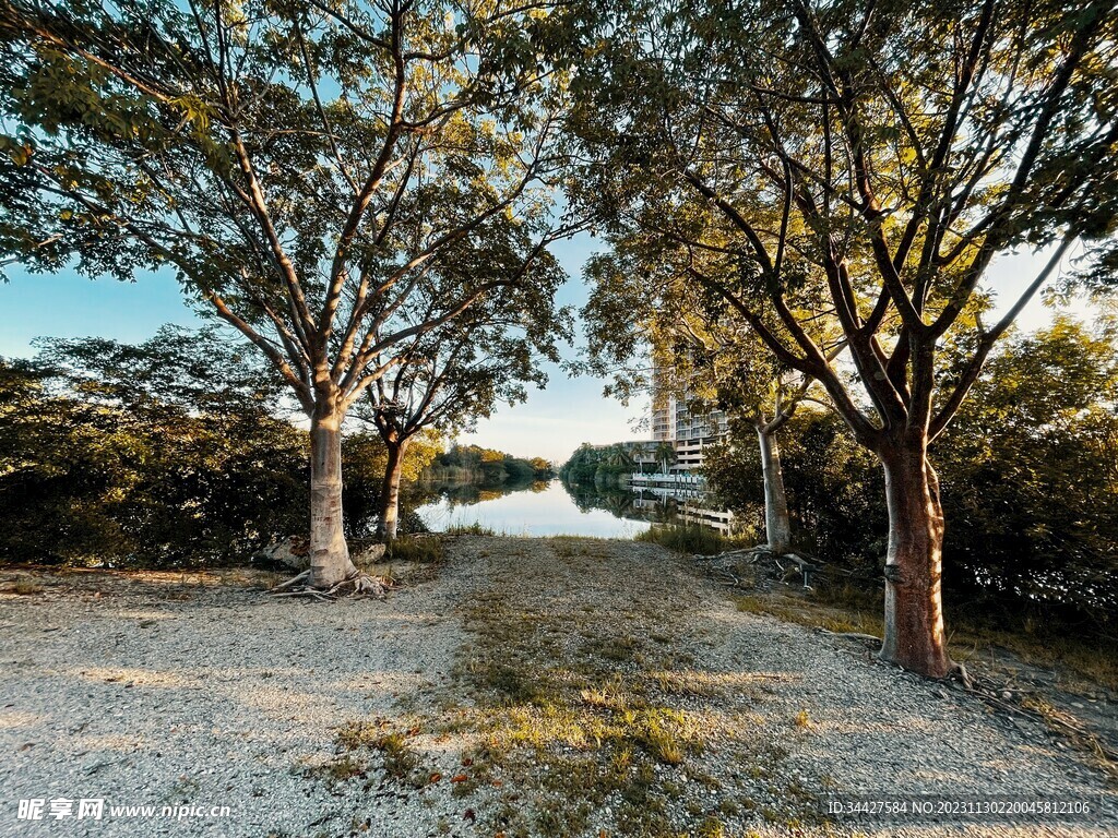 园林景观