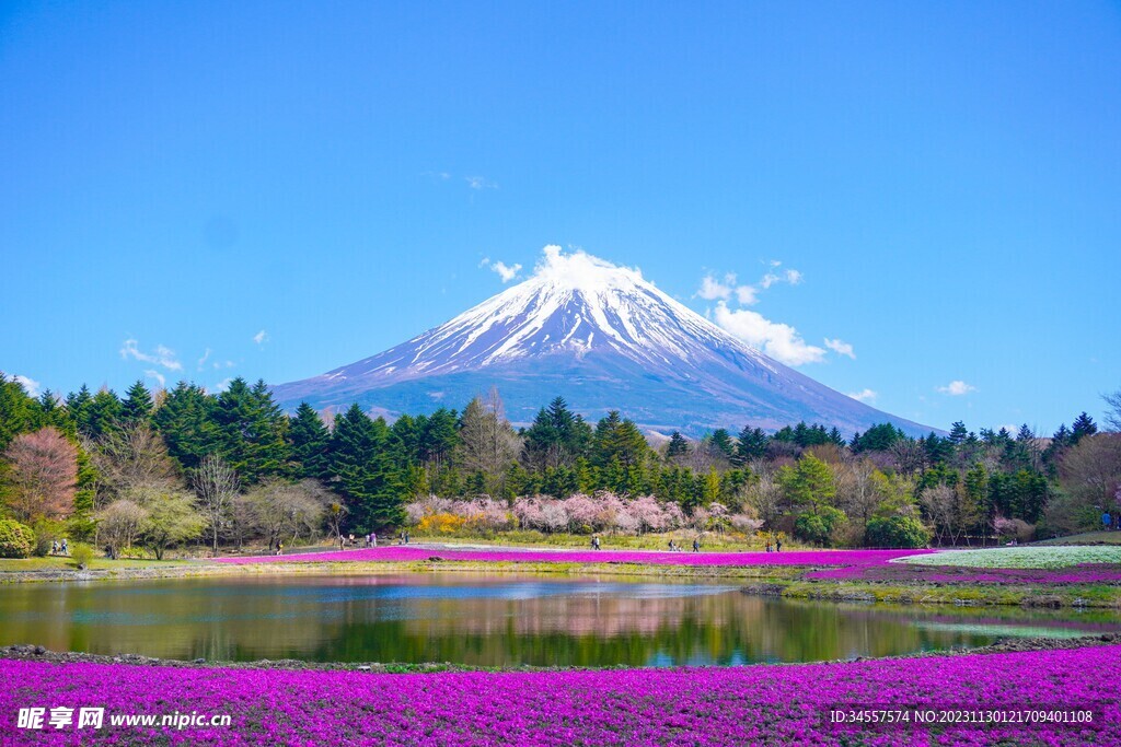 富士山