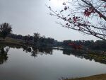 湖