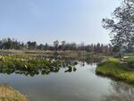 小河