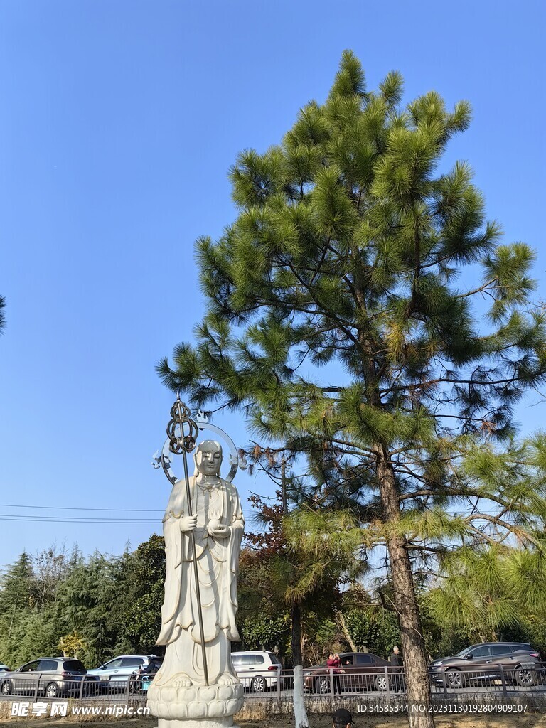 树 