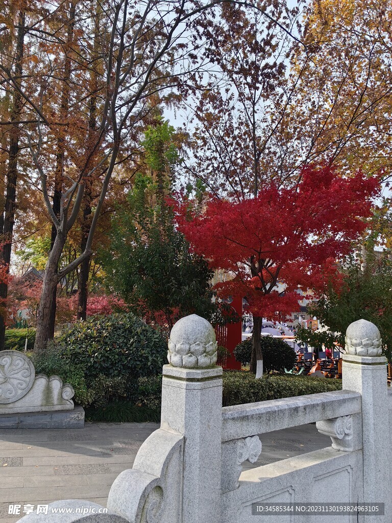 栏杆 