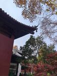 屋檐 