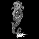 龙