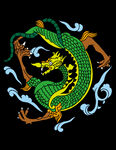 龙