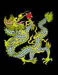 龙