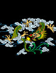 龙