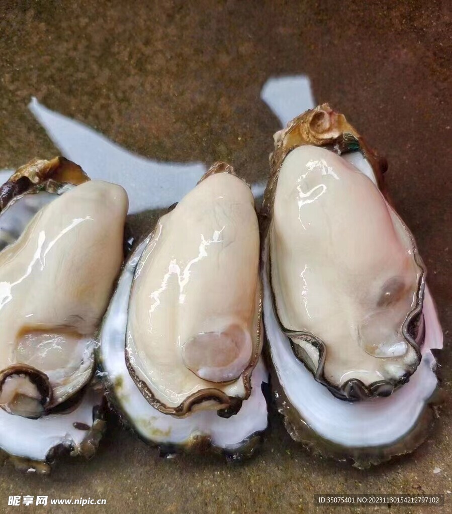 生蚝