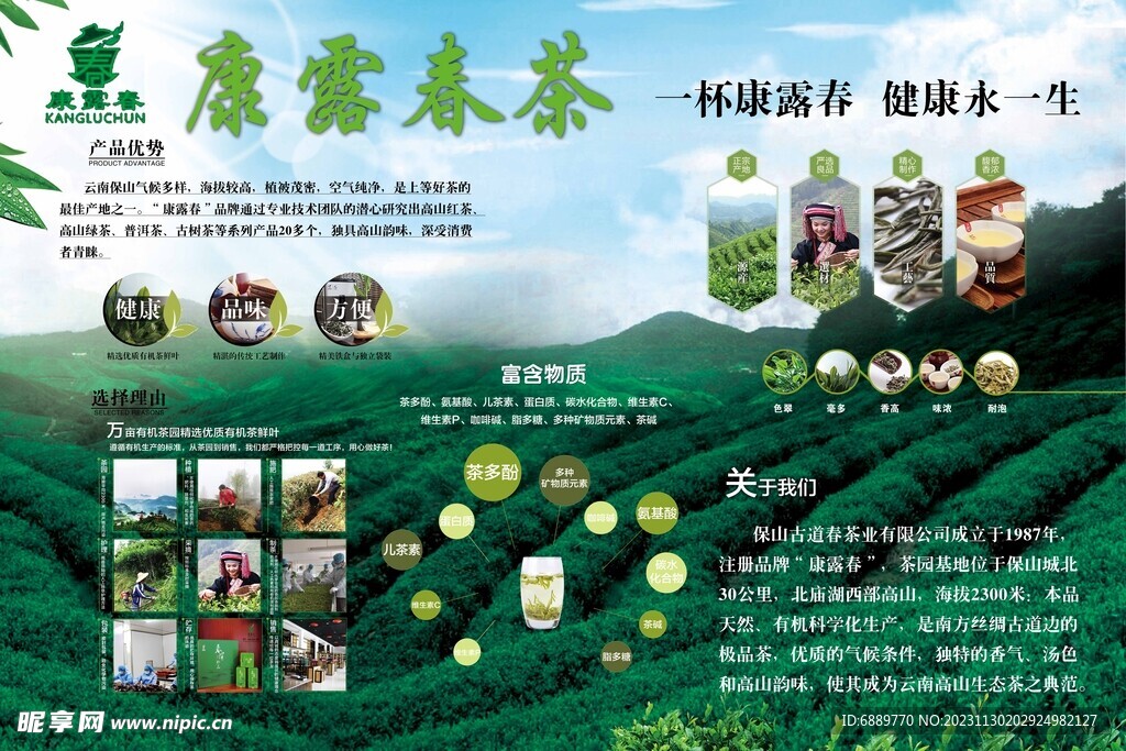 康露春茶海报