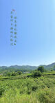 风景图