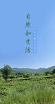 风景图