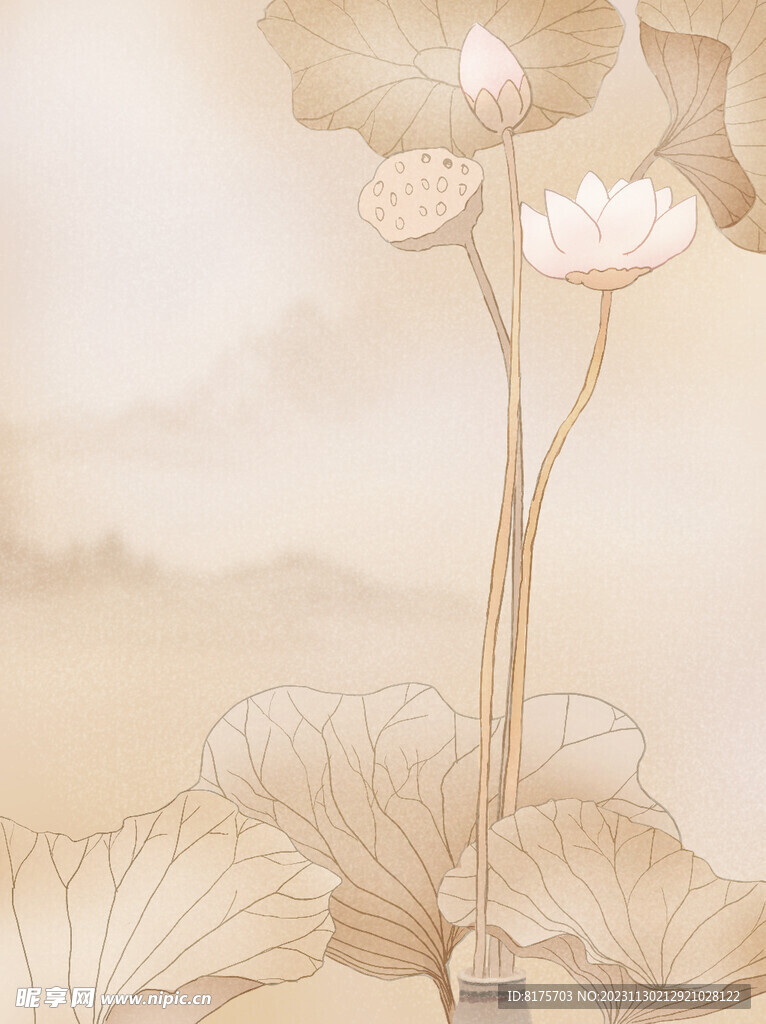 荷花背景
