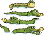动物卡通小鳄鱼