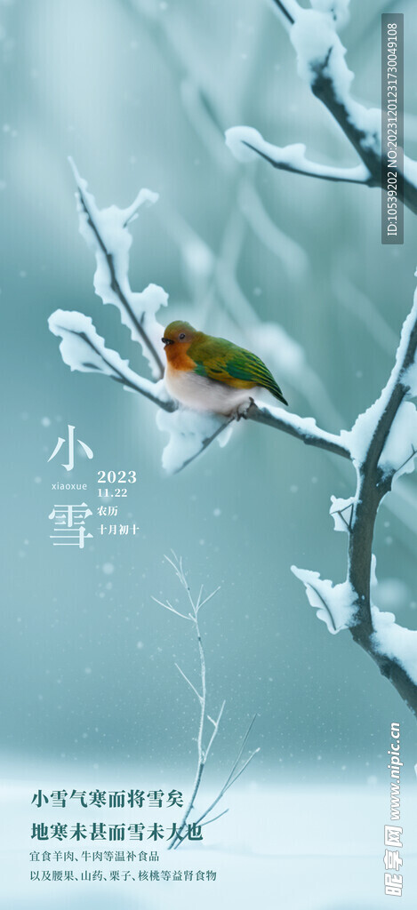 小雪