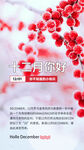 十二月你好