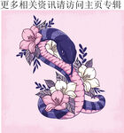 蛇  动物