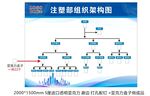 组织架构图