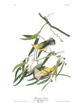 油画