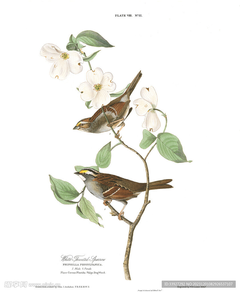 油画