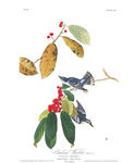 油画