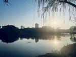 公园