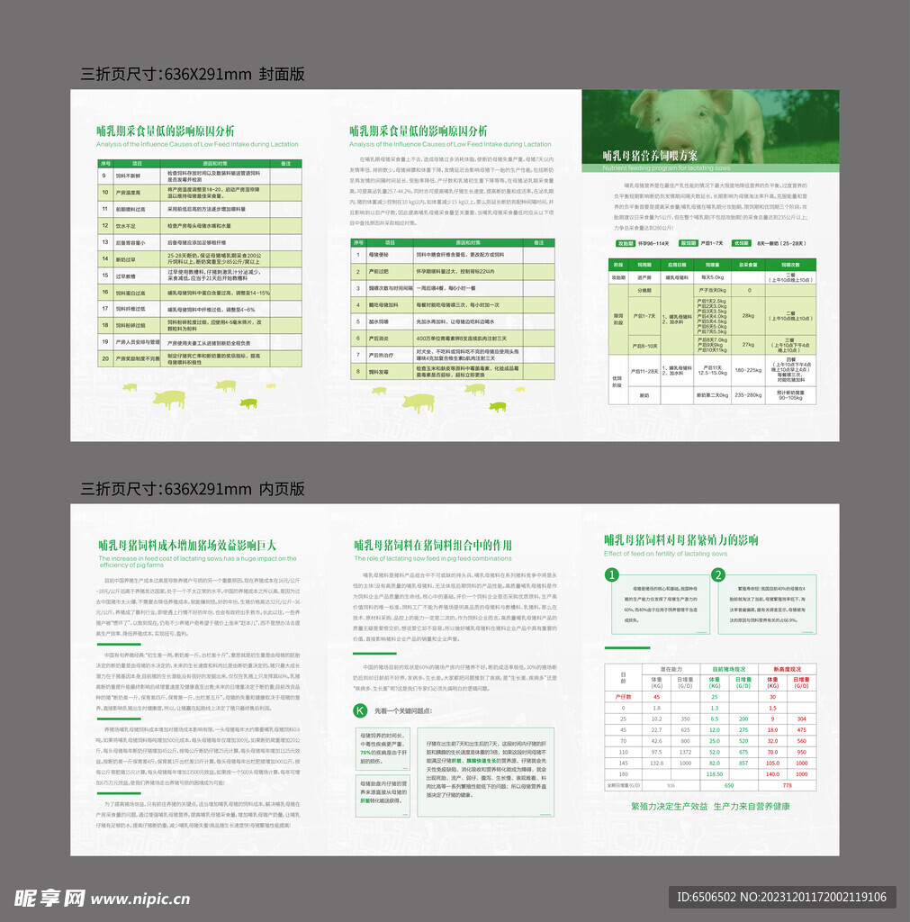 猪饲料折页