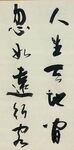 人生天地间