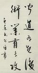 闻道有先后 术业有专攻