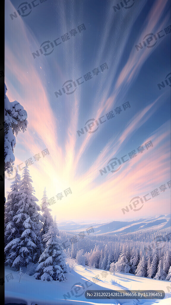 寒冬 大雪 广阔天空 近景雪地