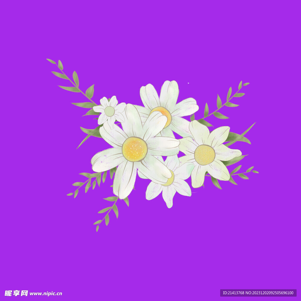 手绘小雏菊