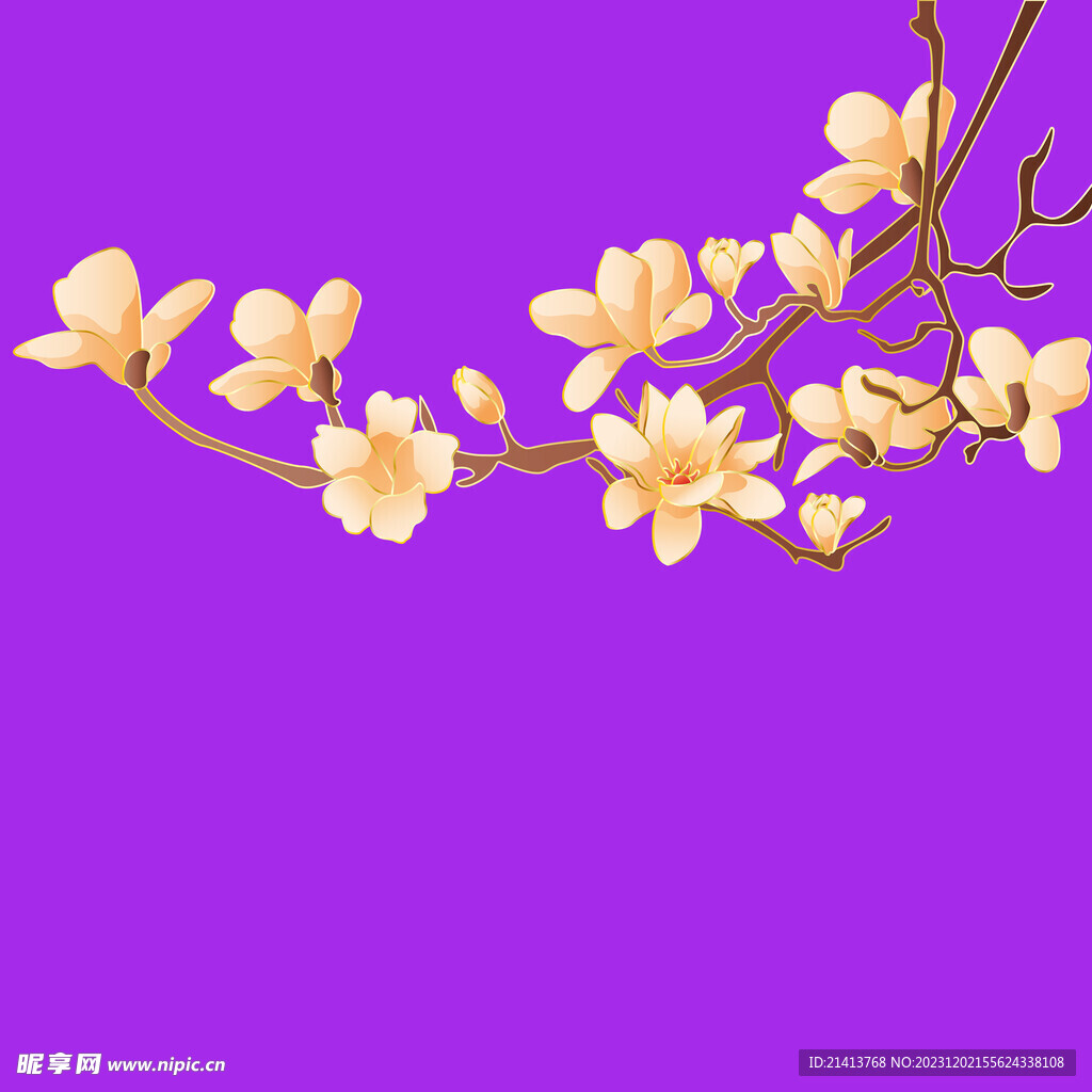 手绘木棉花 