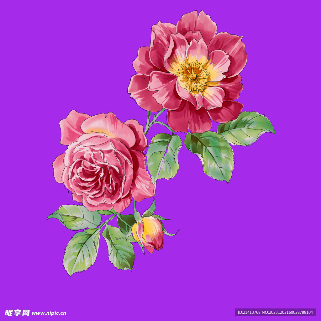 手绘牡丹花 