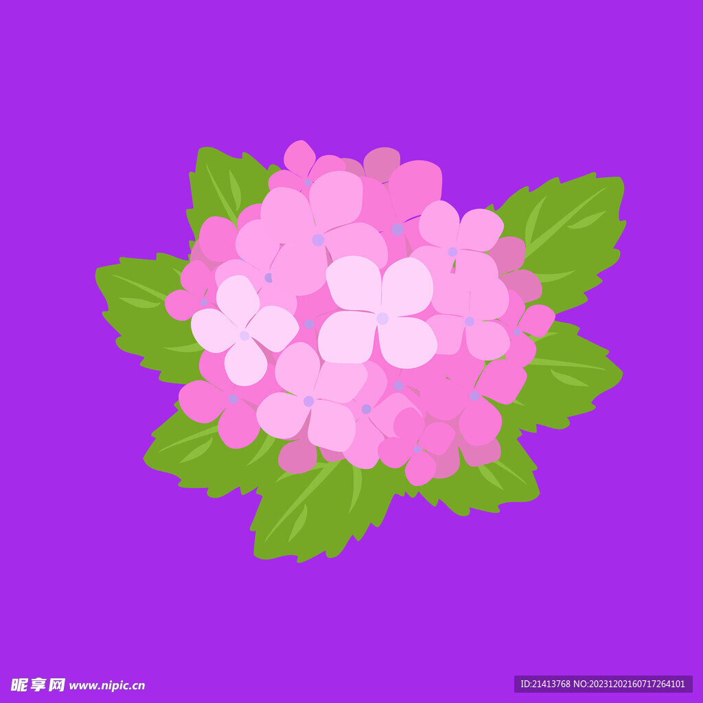 手绘鲜花花束 